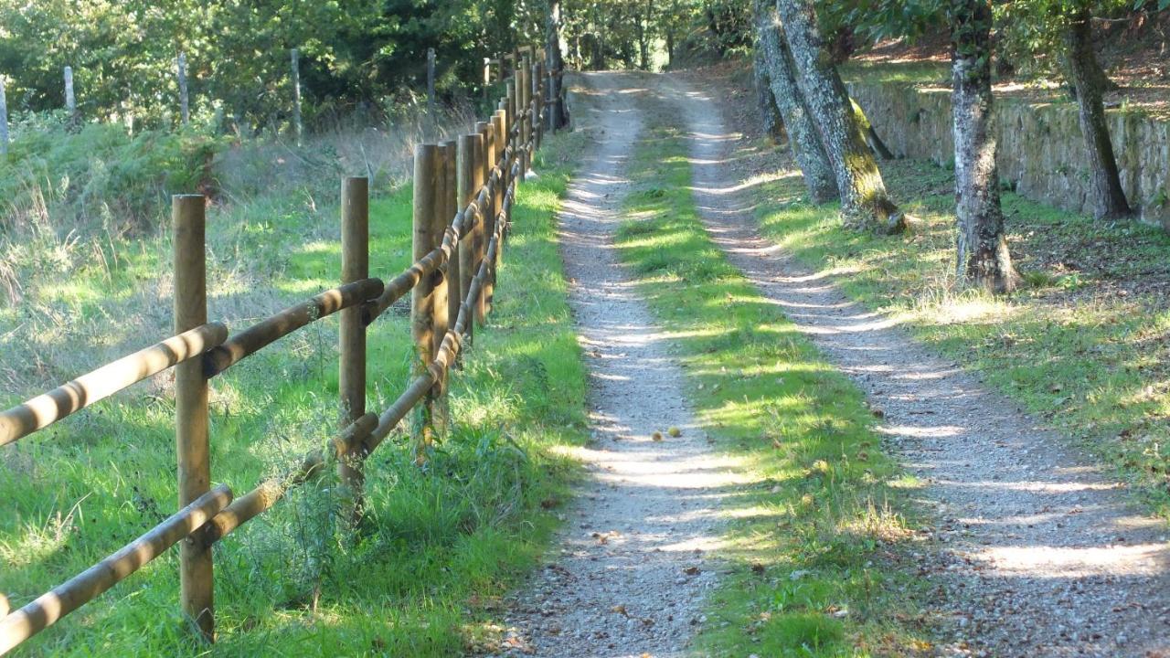 Quinta Do Caritel Villa Vouzela Luaran gambar